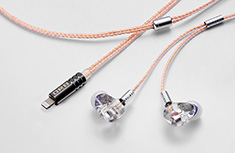 CF-IEM 实拍 23