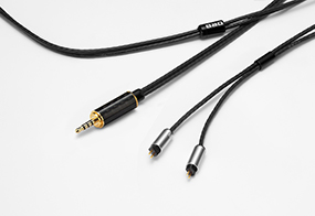 Custom IEM 2pin